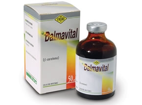 Dalmavital