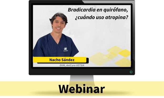 Bradicardia en quirófano, ¿cuándo uso atropina?