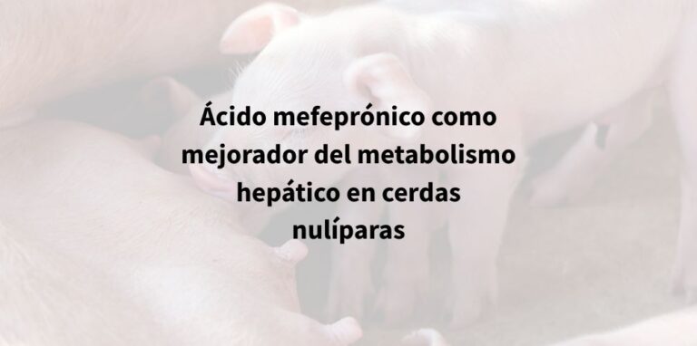 Ácido Mefeprónico como mejorador del metabolismo hepático en cerdas nulíparas