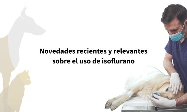 Isoflurano en veterinaria: actualización 2025 sobre usos, seguridad y tendencias clínicas