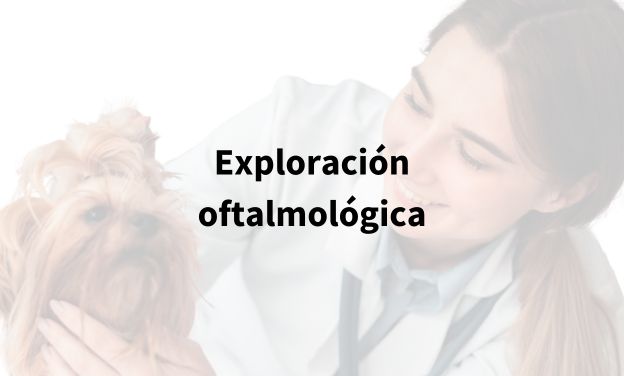 Exploración oftalmológica