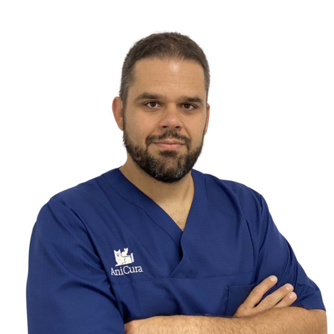 Cardiología