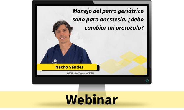 Manejo del perro geriátrico sano para anestesia: ¿debo cambiar mi protocolo?