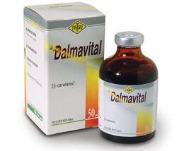 Dalmavital
