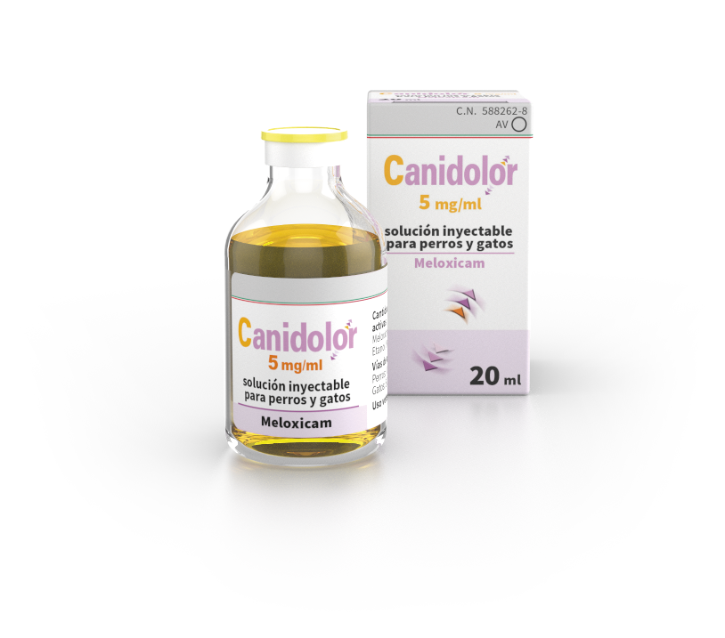 Canidolor