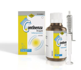 Continenza
