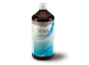 Idrion