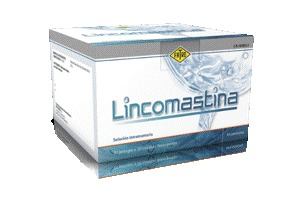 Lincomastina