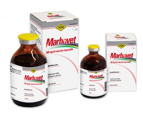 Marbovet 100 mg/ml