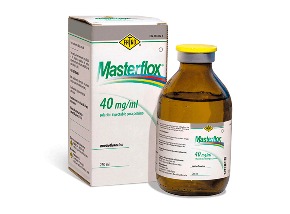 Masterflox 40 mg/ml