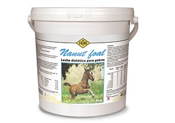 Nanut foal