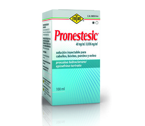 Pronestesic