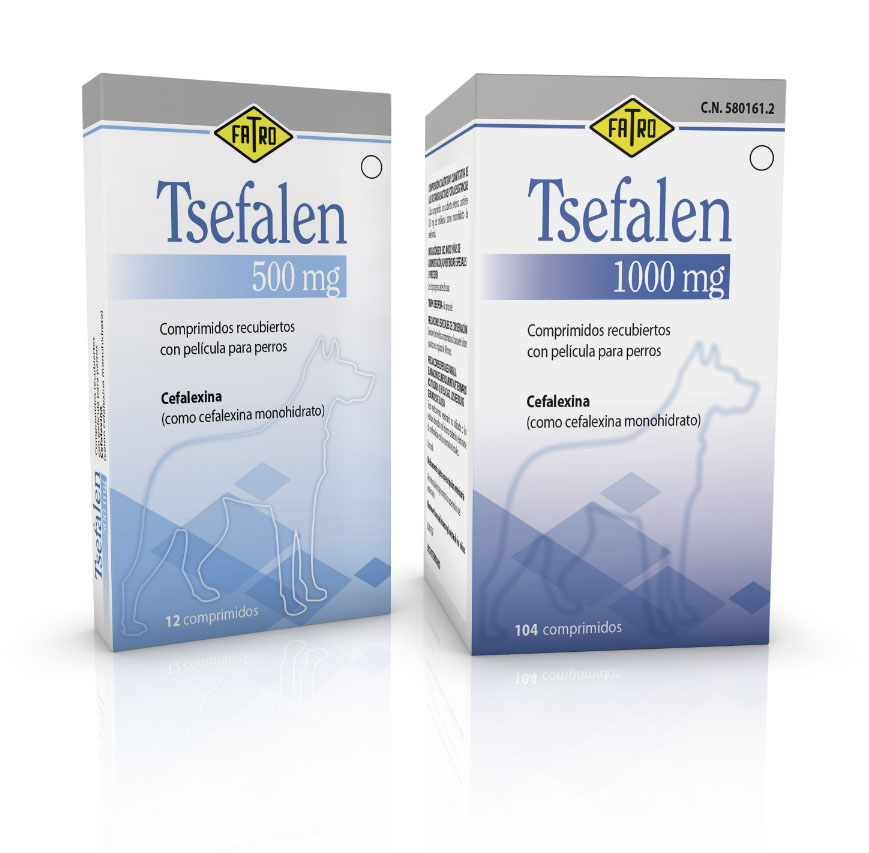 Tsefalen