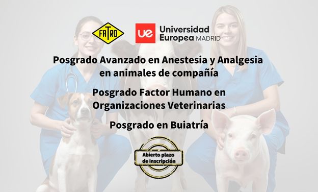 Abierto el plazo de inscripción de los posgrados Fatro–UEM 2026