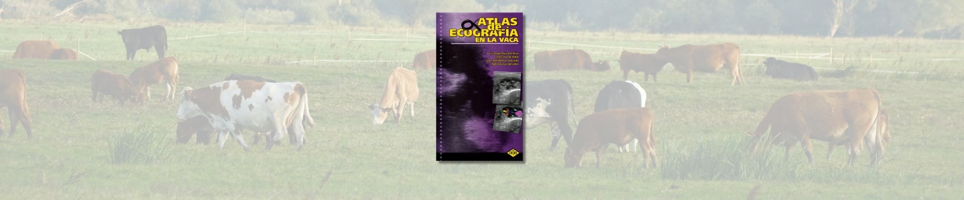 Atlas de ecografía en la vaca