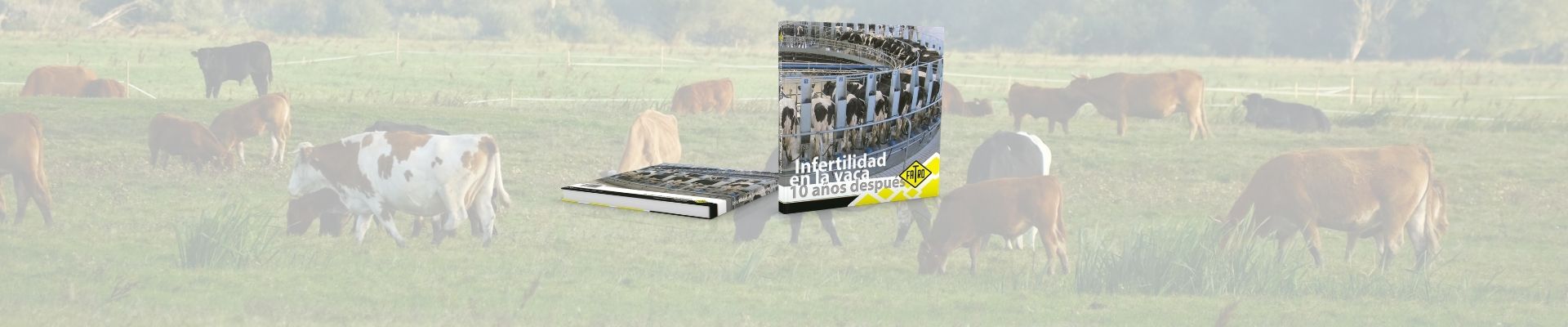 Infertilidad en la vaca: 10 años después