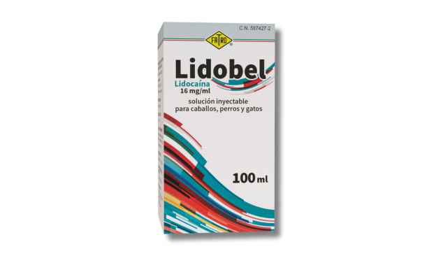 LidoBel