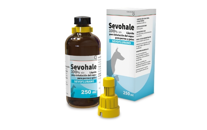Sevohale