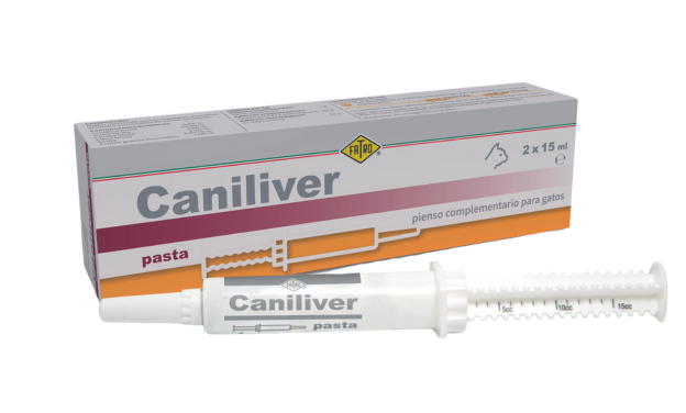 Caniliver pasta