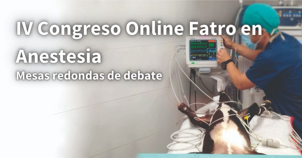 congreso-anestesia-24-1024×536