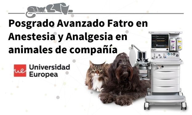 formacion-posgrado-anestesia