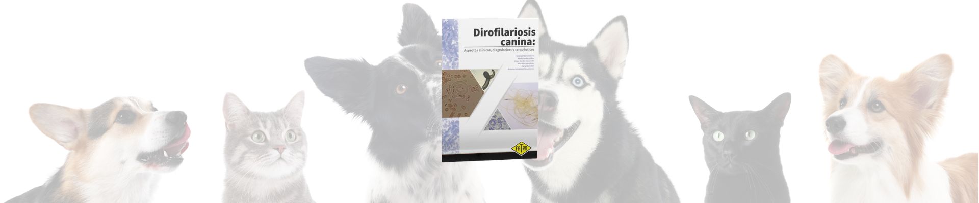 Dirofilariosis canina: aspectos clínicos, diagnósticos y terapéuticos