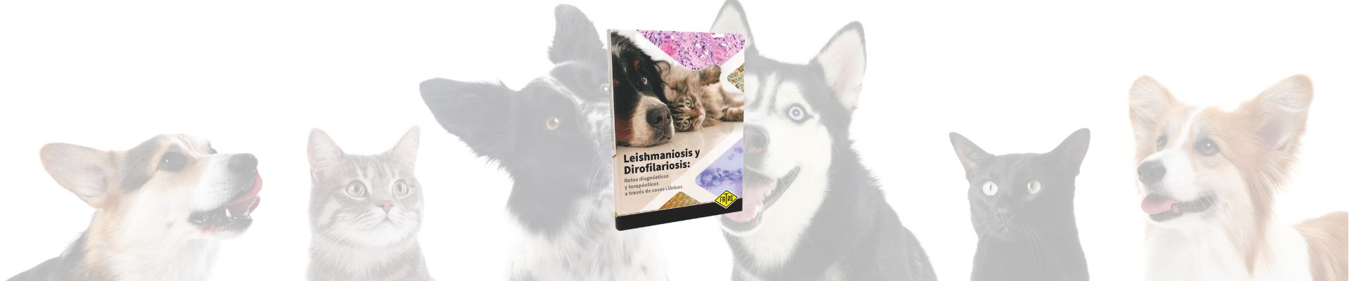Leishmaniosis y Dirofilariosis: retos diagnósticos y terapéuticos, a través de casos clínicos