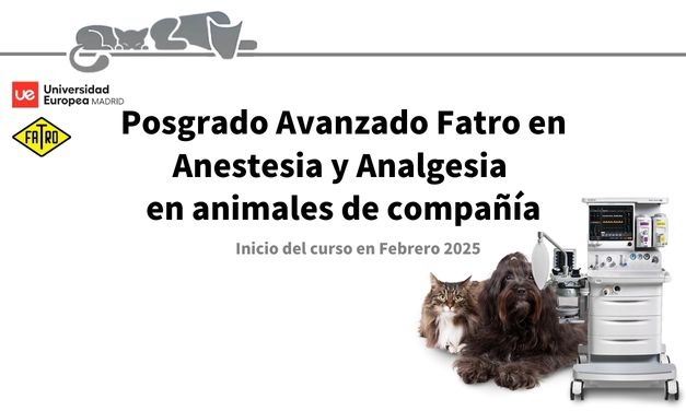 ndp-posgrado-anestesia