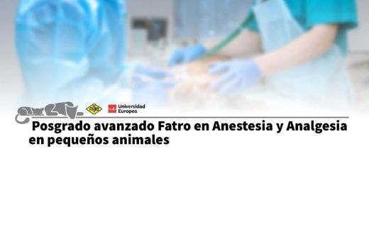 posgrado-noticia
