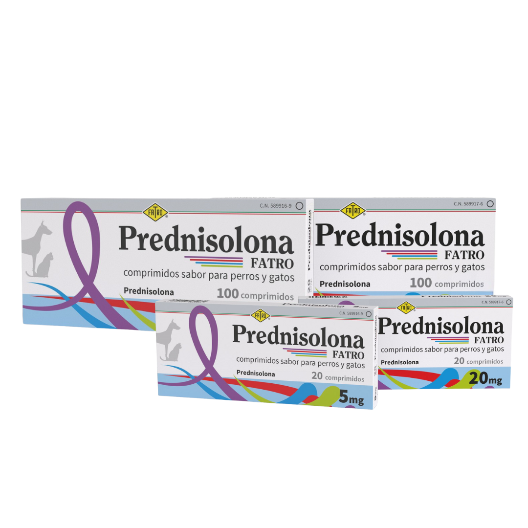 Prednisolona Fatro comprimidos sabor