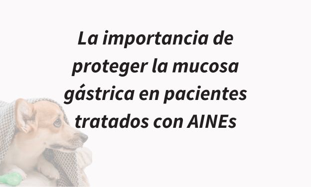 La importancia de proteger la mucosa gástrica en pacientes tratados con AINEs