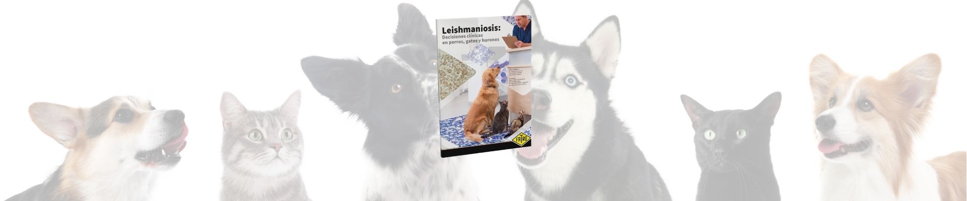 Leishmaniosis: Decisiones clínicas en perros, gatos y hurones
