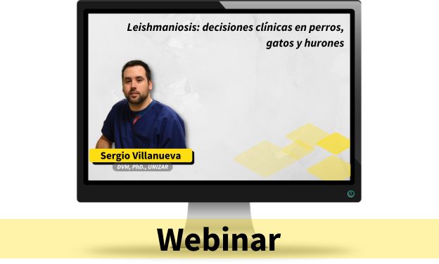 Presentación del libro: Leishmaniosis: decisiones clínicas en perros, gatos y hurones