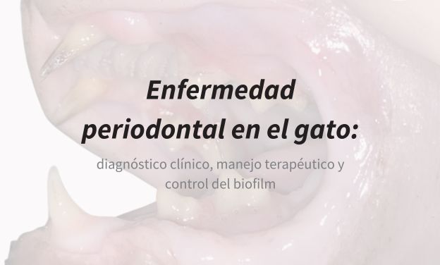 Enfermedad periodontal en el gato: diagnóstico clínico, manejo terapéutico y control del biofilm