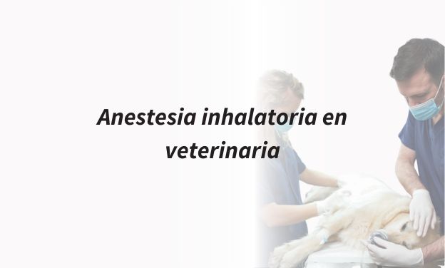 Anestesia inhalatoria en veterinaria