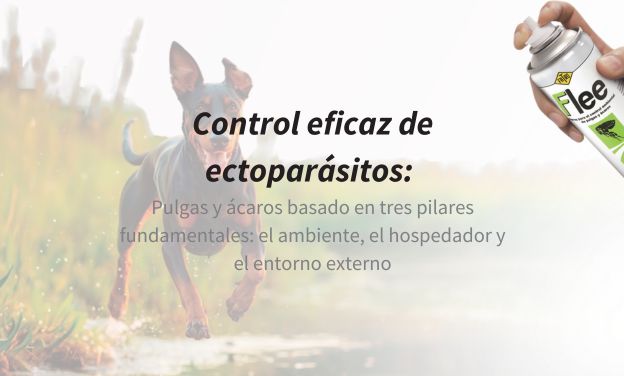Control eficaz de ectoparásitos: Pulgas y ácaros basado en tres pilares fundamentales: el ambiente, el hospedador y el entorno externo