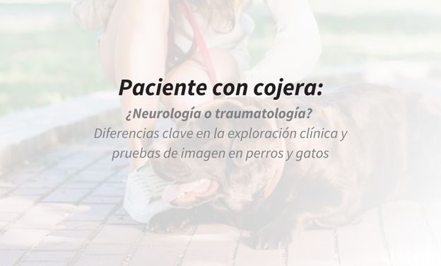 Paciente con cojera: ¿Neurología o traumatología? Diferencias clave en la exploración clínica y pruebas de imagen en perros y gatos