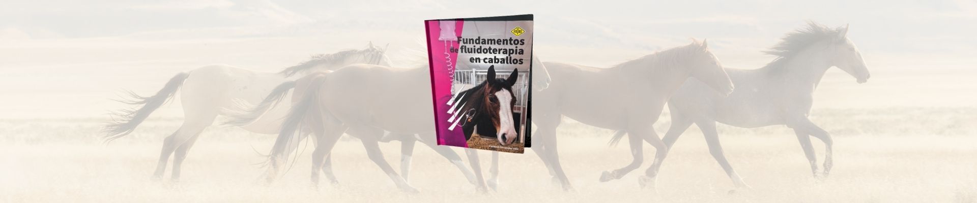 Manual: Fundamentos de la fluidoterapia en caballos