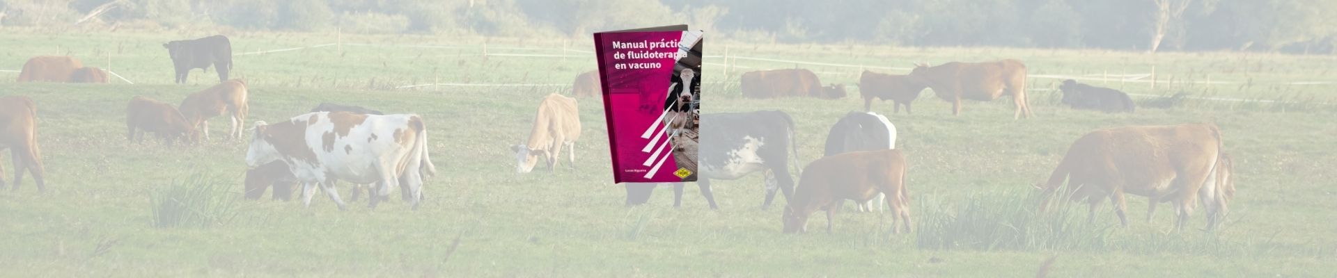 Manual práctico de fluidoterapia en vacuno