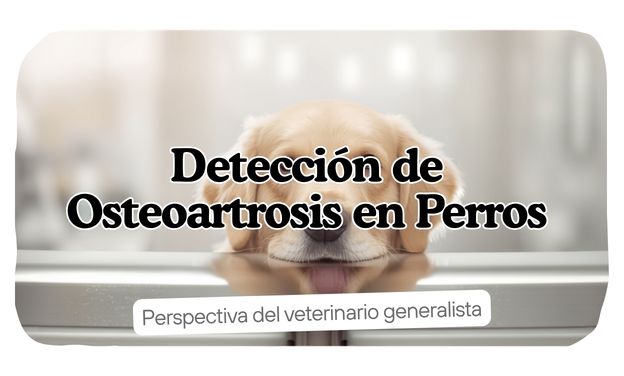 Detección de Osteoartrosis en Perros: Perspectiva del Veterinario Generalista