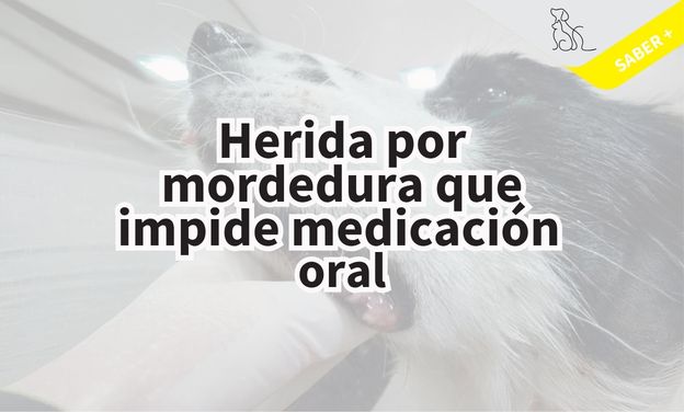 Herida por mordedura que impide la medicación oral