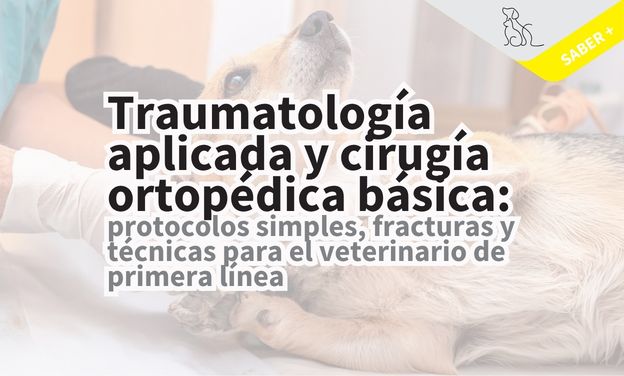 Traumatología aplicada y cirugía ortopédica básica: protocolos, fracturas simples y técnicas para el veterinario de primera línea